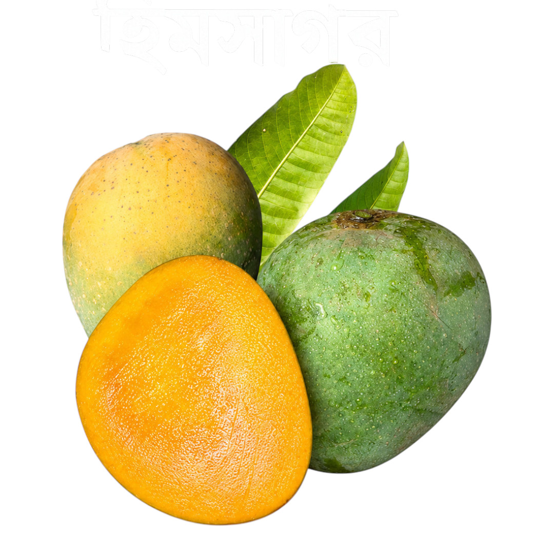 রাজশাহীর বিখ্যাত ক্ষীরসাপাত আম